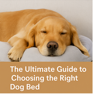 The Ultimate Guide to Choosing the Right Dog Bed