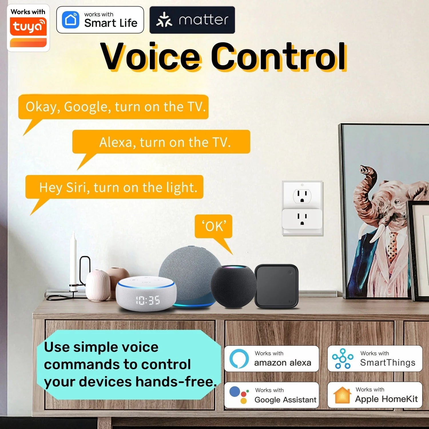 Matter WiFi Mini Smart Socket 10A Timeing Wireless Voice Control Sma