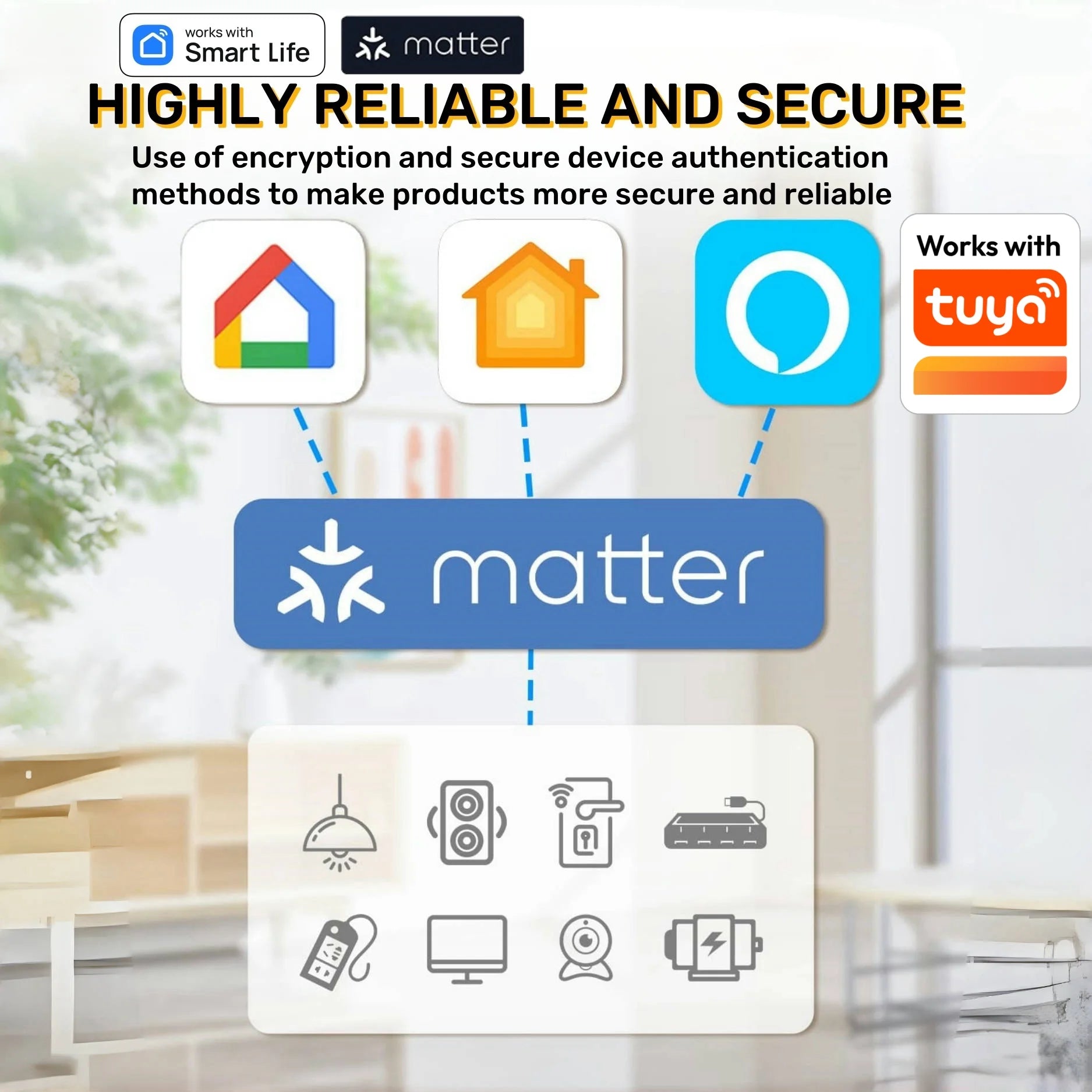 Matter WiFi Mini Smart Socket 10A Timeing Wireless Voice Control Sma