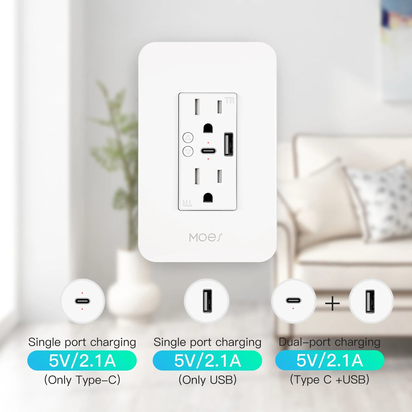 WiFi Smart Power Wall Socket with Type C and USB Dual Outlet Plug Po