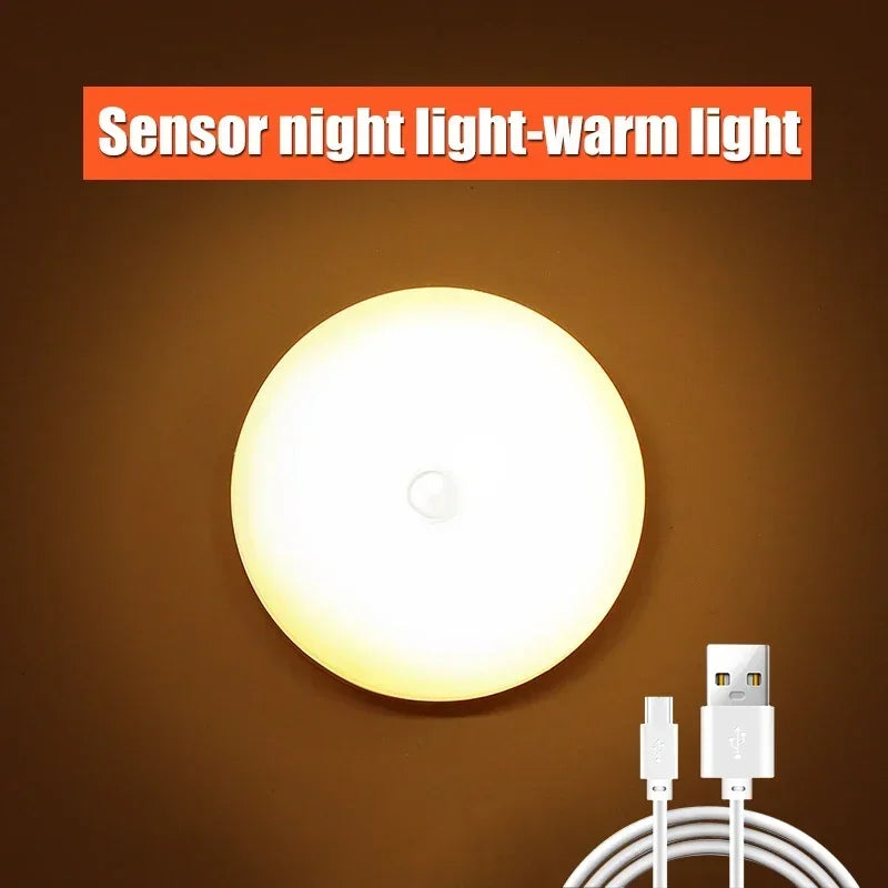 LED Smart Human Body Sensor Night Lamp Emergency Automatic Lighting