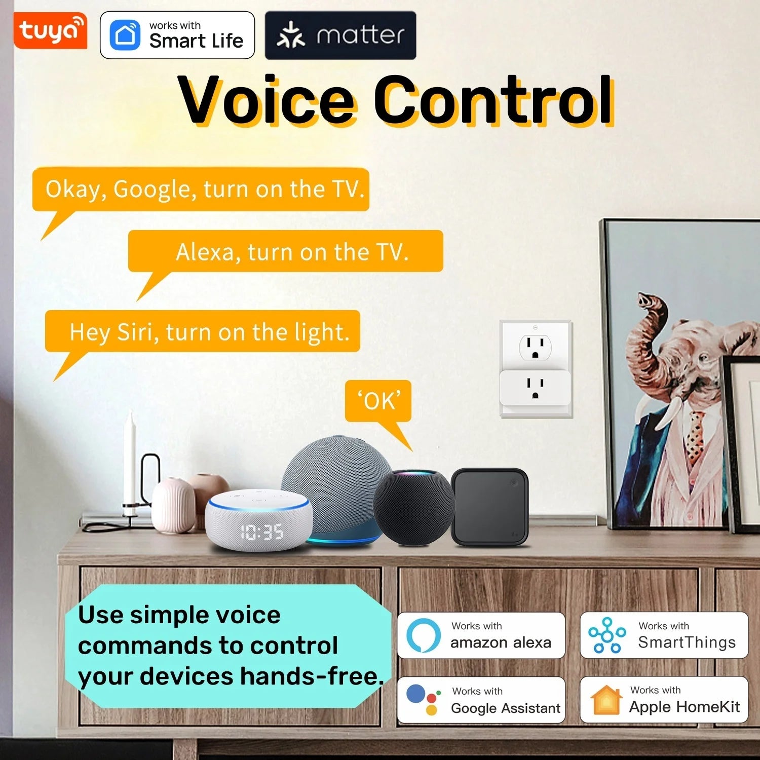 Matter WiFi Mini Smart Socket 10A Timeing Wireless Voice Control Sma